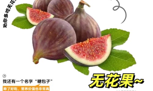 侧柏叶煮水洗头的功效-侧柏叶有什么用处和功效专区_侧柏叶洗头的功效专区_侧柏叶驱蚊水的功效网
