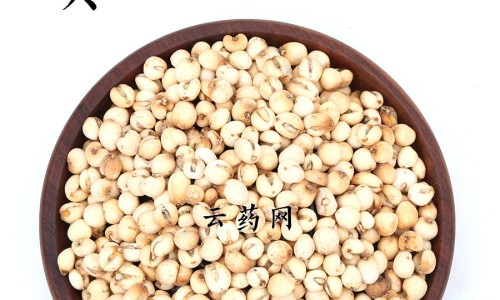侧柏叶有什么用处和功效专区_侧柏叶洗头的功效专区_侧柏叶驱蚊水的功效网